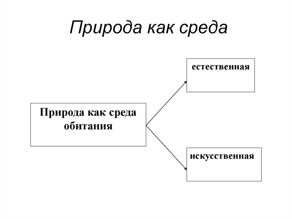 Философия природы презентация