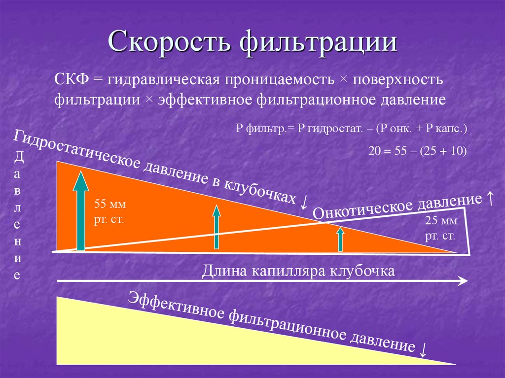 Скорость фильтрации. Скорость фильтрации фильтра. Скорость фильтрации жидкости. Скорость фильтрации гидравлика.