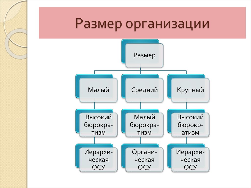 Какие бывают организации. Размер организации. Размер предприятия. Размер организаций и предприятий. Масштаб предприятия.