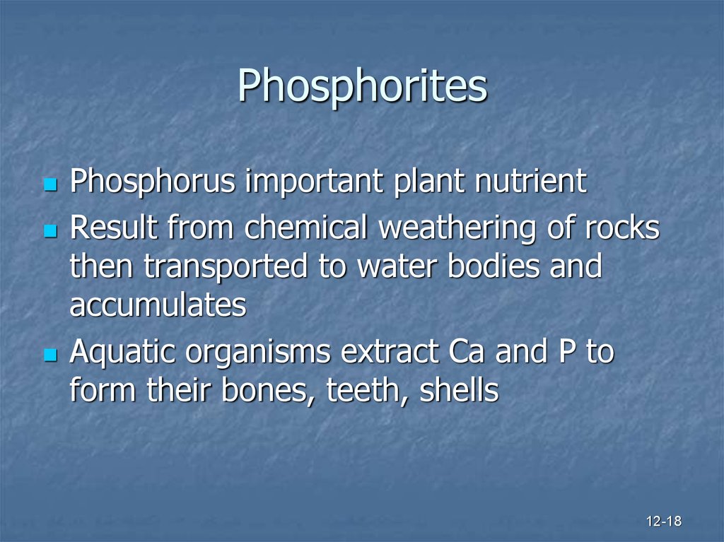 Phosphorites