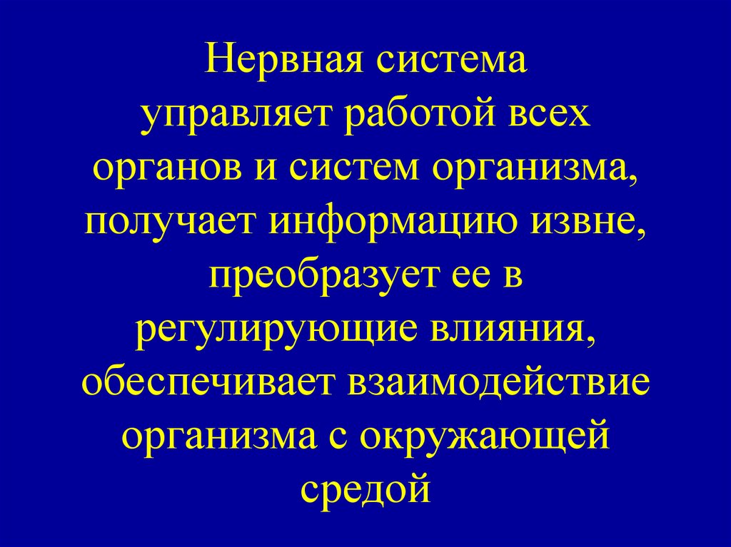 Какая система управляет работой всех органов. Что управляет работой всех органов.