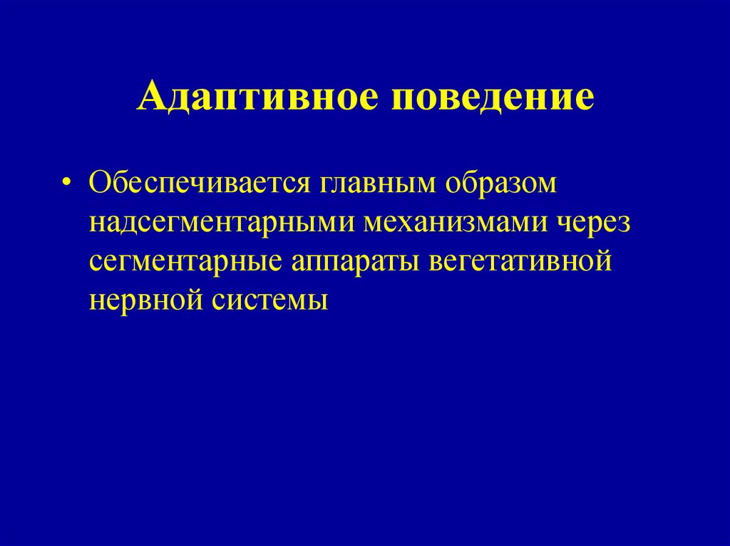 Адаптивность это