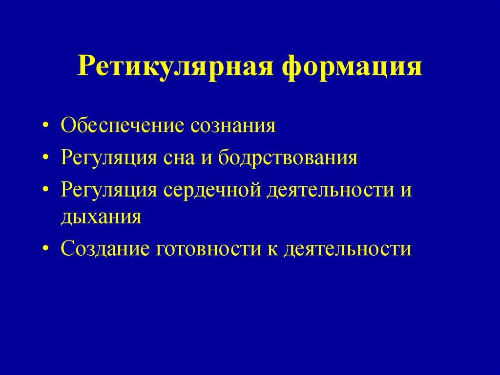 Ретикулярная формация головного мозга презентация