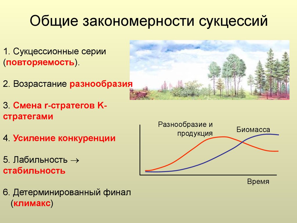 Для природных экосистем характерно. Динамика и развитие экосистем сукцессии. Динамика экосистем сукцессия. Закономерности сукцессии. Основные закономерности сукцессии.