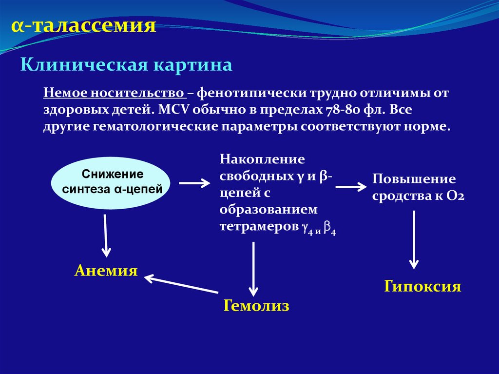 Талассемия что это. Талассемия механизм развития. Талассемия клинические рекомендации. Клинические проявления талассемии. Талассемия классификация.