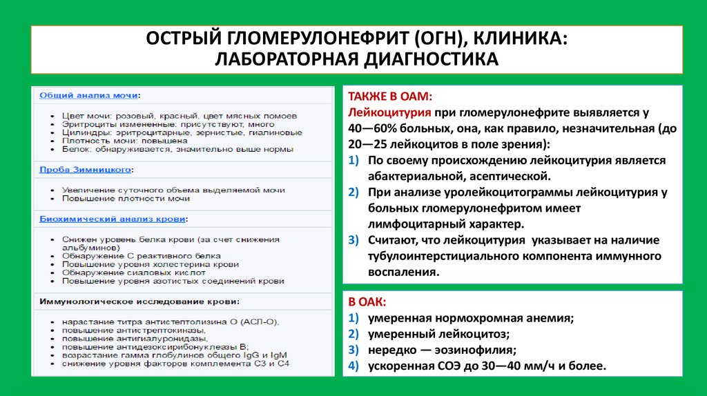 План обследования при остром гломерулонефрите