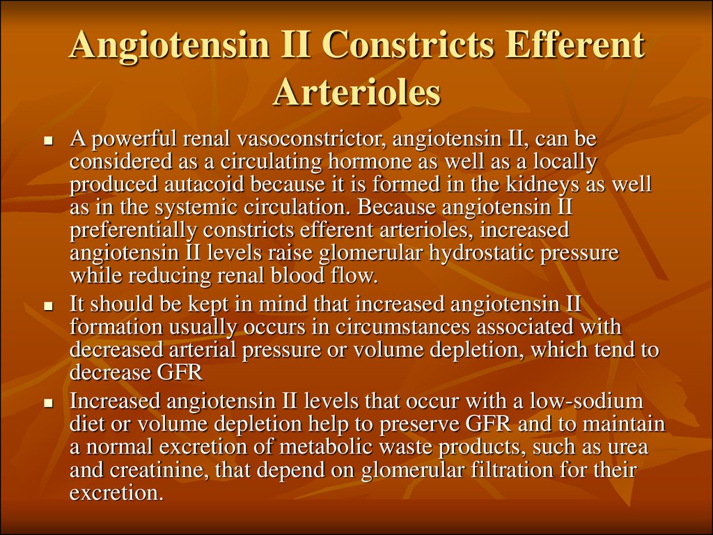 Angiotensin II Constricts Efferent Arterioles