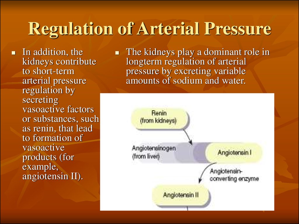 Regulation of Arterial Pressure