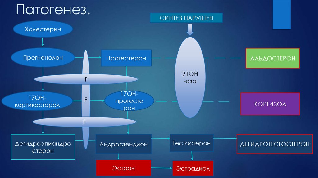 Патогенез кори схема