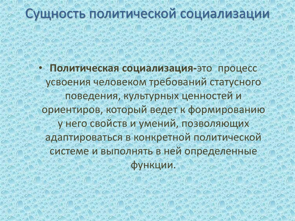 Политическая социализация сложный план