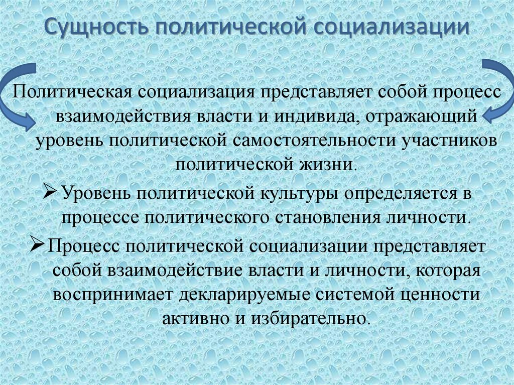 Функция социализации политики