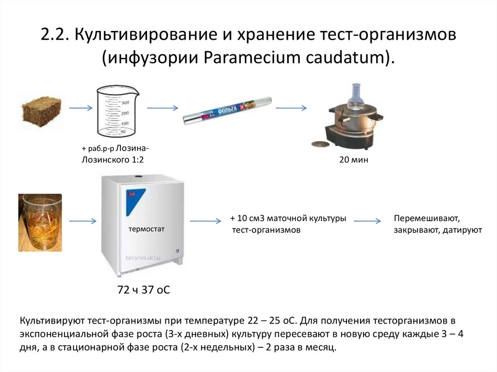 Тест хранение. Приготовление маточной культуры. Культивирование и сохранение тест организмов. Получение маточной культуры.