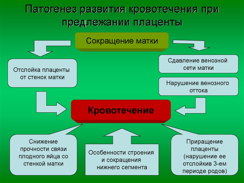 Диагностика предлежания плаценты