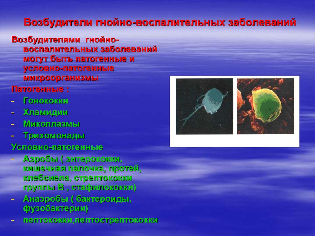 Гнойно воспалительные заболевания презентация