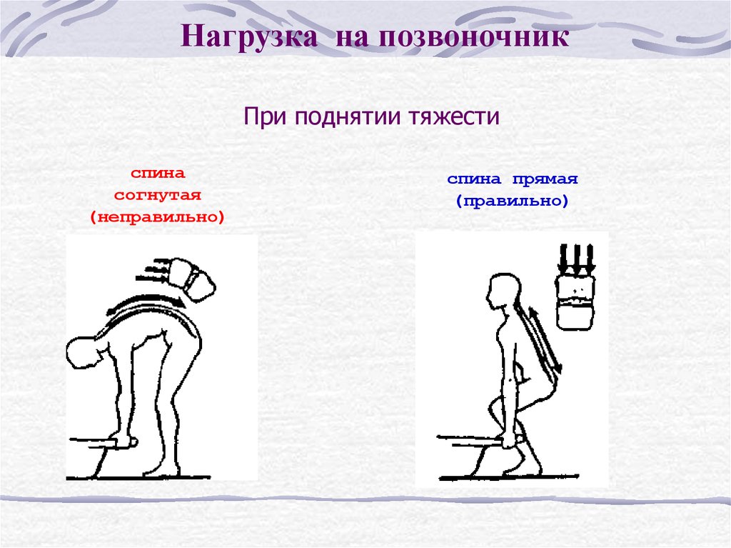 Поднимать после. Нагрузка на позвоночник при поднятии тяжести. Нагрузка на поясницу при поднятии тяжести. Распределение нагрузки на позвоночник. Нагрузка на спину при подъеме тяжести.