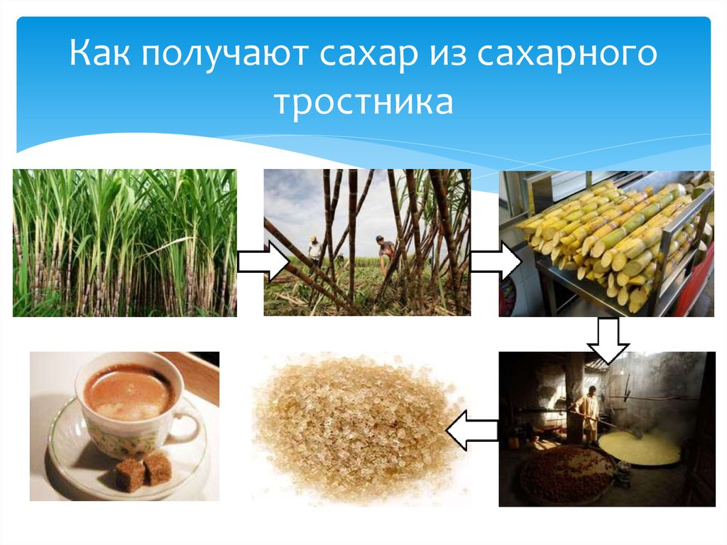 Сахарный тростник содержит 9. Добыча сахара из тростника. Добыча сахара из сахарного тростника. Из чего делают сахар. Тростниковый (из сахарного тростника); сахар.