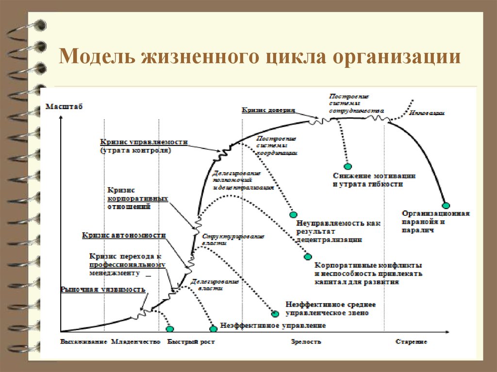 Модели управление жизненного цикла. Стадия жизненного цикла развития предприятия. Жизненный цикл организации. Модели жизненного цикла организации.. Теории жизненного цикла организации (ЖЦО). Жизненный цикл организации Мильнер.