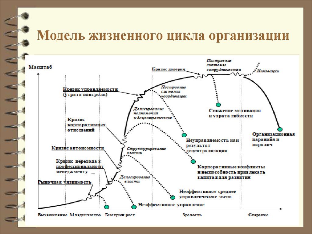 Жизненный организации. Этапы жизненного цикла компании. Жизненный цикл организации. Модели жизненного цикла организации.. Жизненный цикл организации схема основные этапы. Модель ЖЦО по э.м.Короткову.