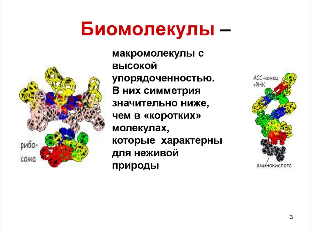 Биомолекула. Биомолекулы. Строение биомолекул. Структуры биомолекул. Структура и функции биомолекул.