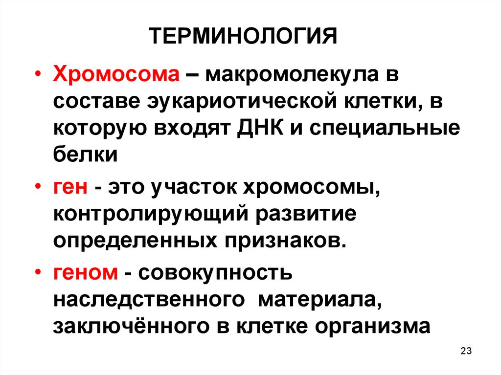 Совокупность генов определенного организма это