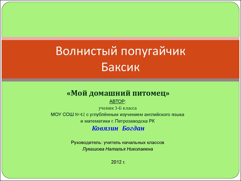 Мой домашний питомец - волнистый попугайчик Баксик (3 класс) - презентация  онлайн