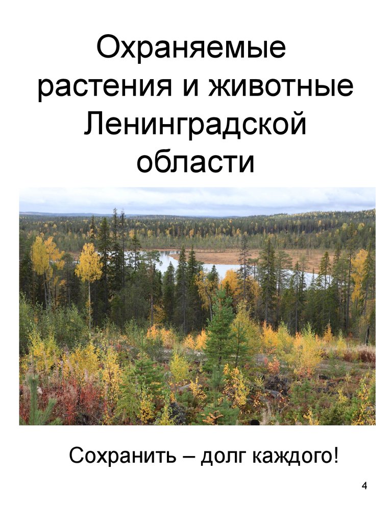 Охраняемые растения и животные Ленинградской области