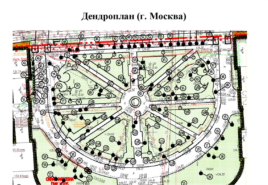 План инвентаризации насаждений