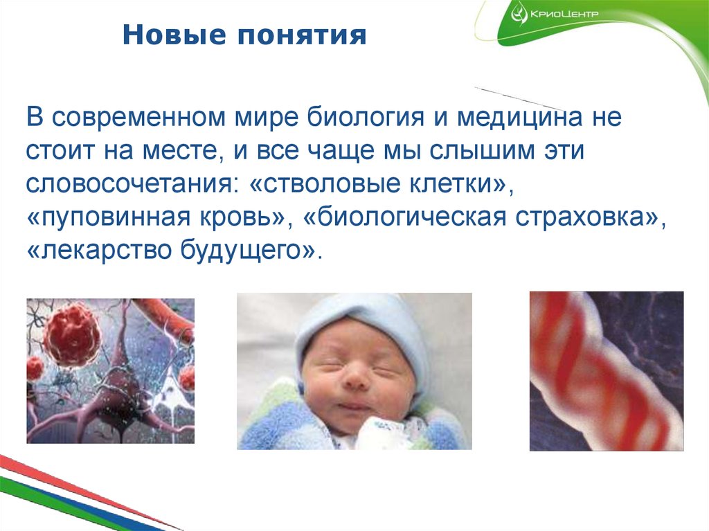 Новые понятия