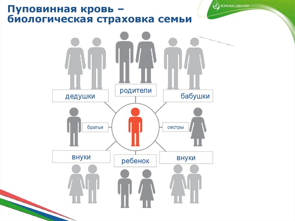 Пуповинная кровь – биологическая страховка семьи