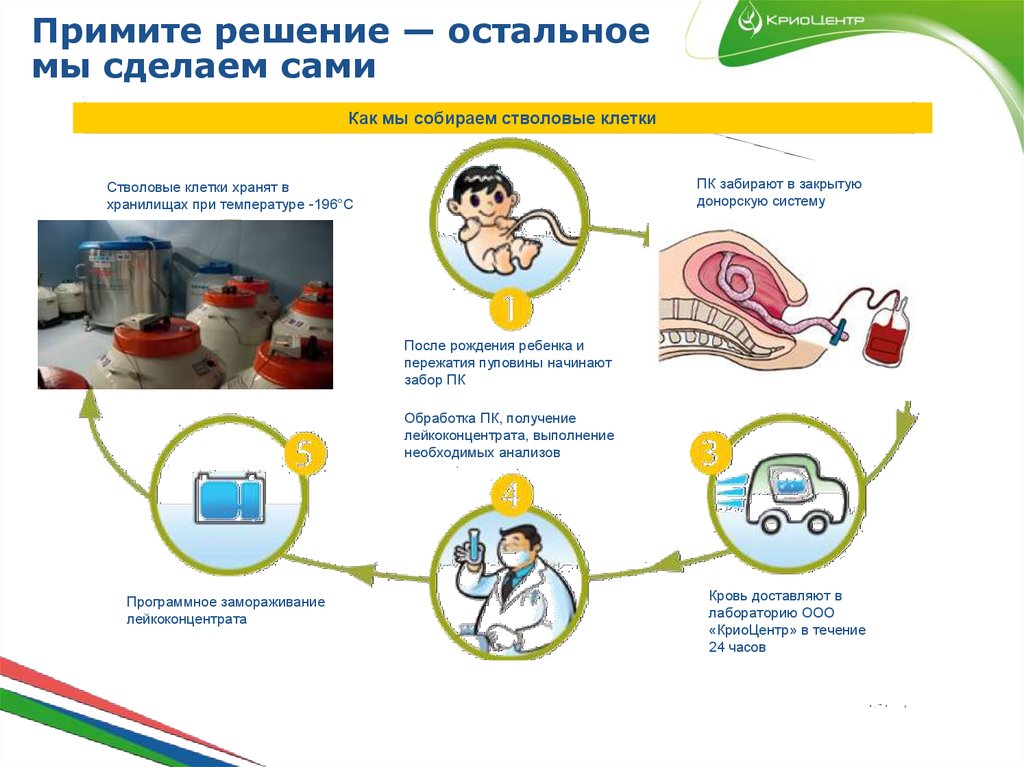 Примите решение — остальное мы сделаем сами