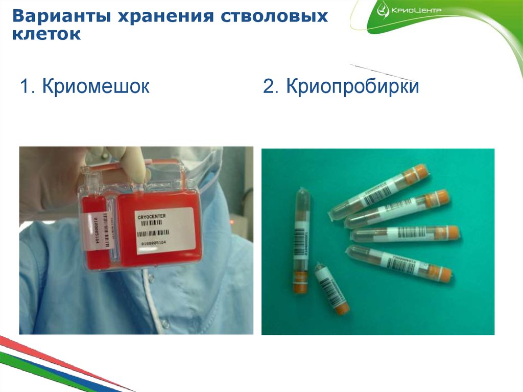 Варианты хранения стволовых клеток