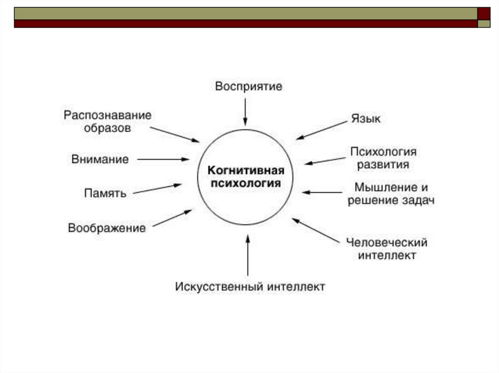 Ребенок активен конструирует собственные когнитивные схемы