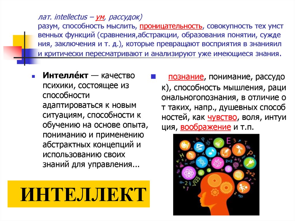 Интеллект способность мыслить. Разум способность мыслить.