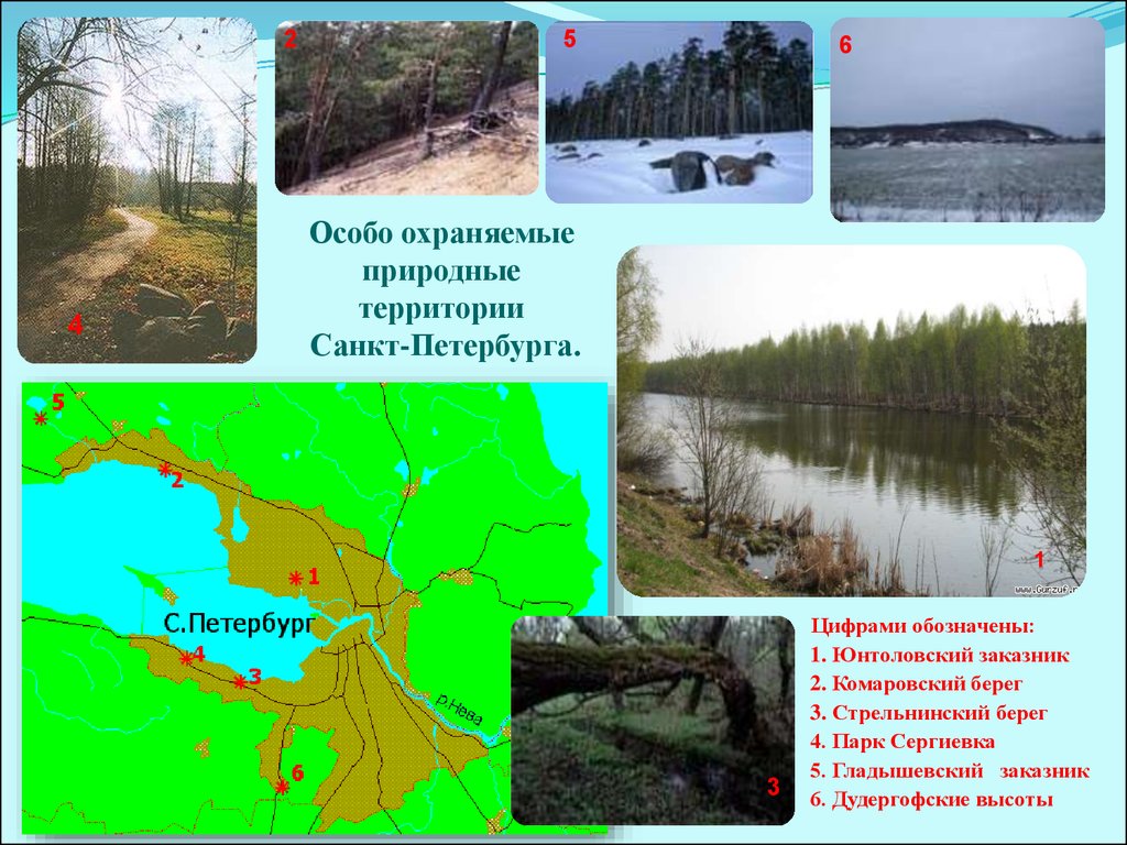 Особо охраняемые природные территории Санкт-Петербурга.