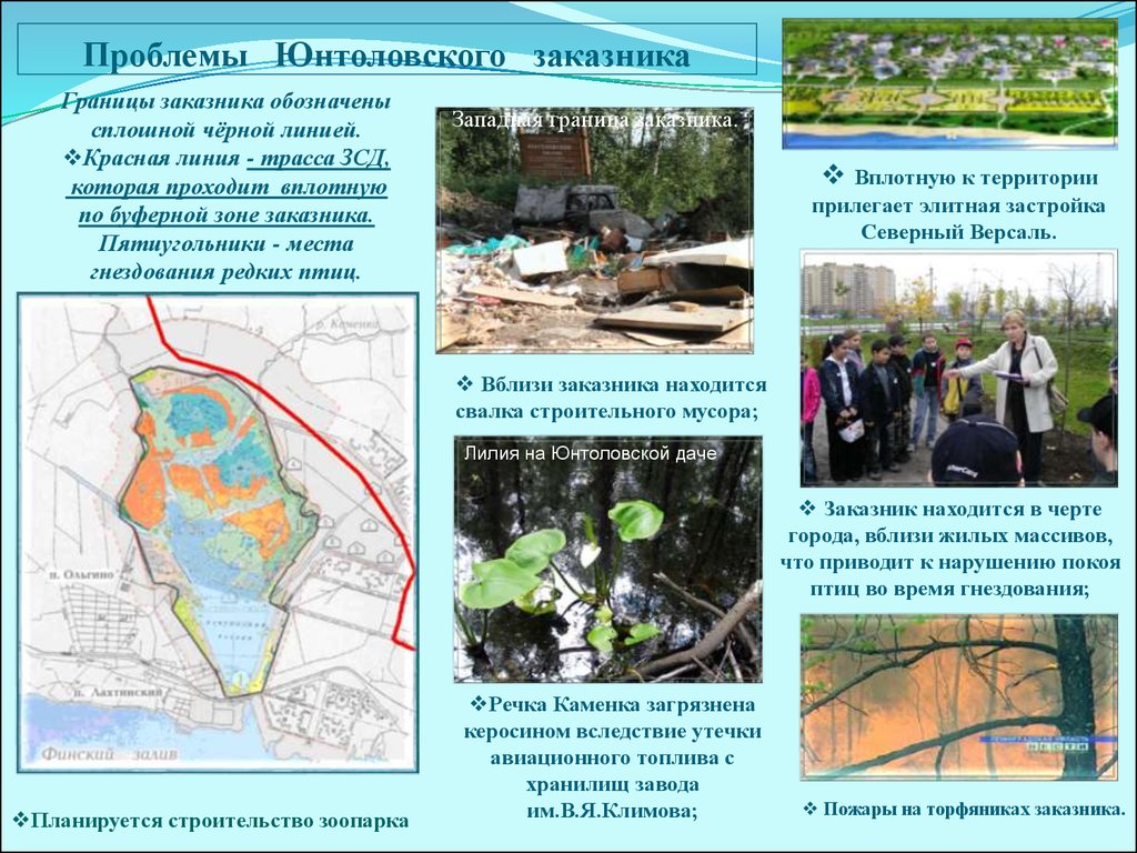 Государственный природный заказник новоорловский. Государственный природный заказник «Юнтоловский». Эко парк Юнтоловский заказник. Территория Юнтоловского заказника. Юнтоловский заповедник СПБ.