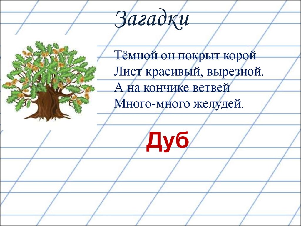 Буква д 1 класс. Загадки на букву д для 1 класса. Загадка про дуб. Загадки про букву д. Стих про букву д.