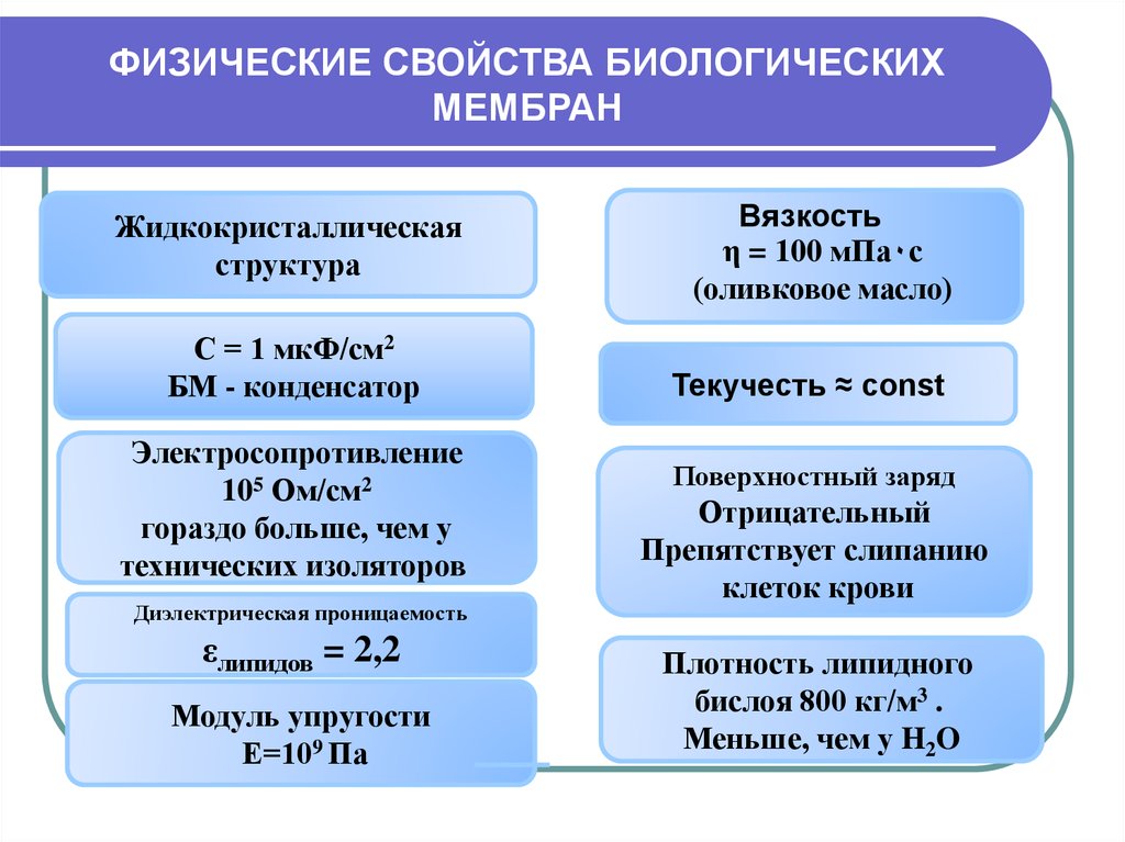 Физические свойства состав. Физико-химические свойства биологических мембран. Физические свойства и параметры мембран. Физические свойства биологических мембран. Физические свойства клеточной мембраны.