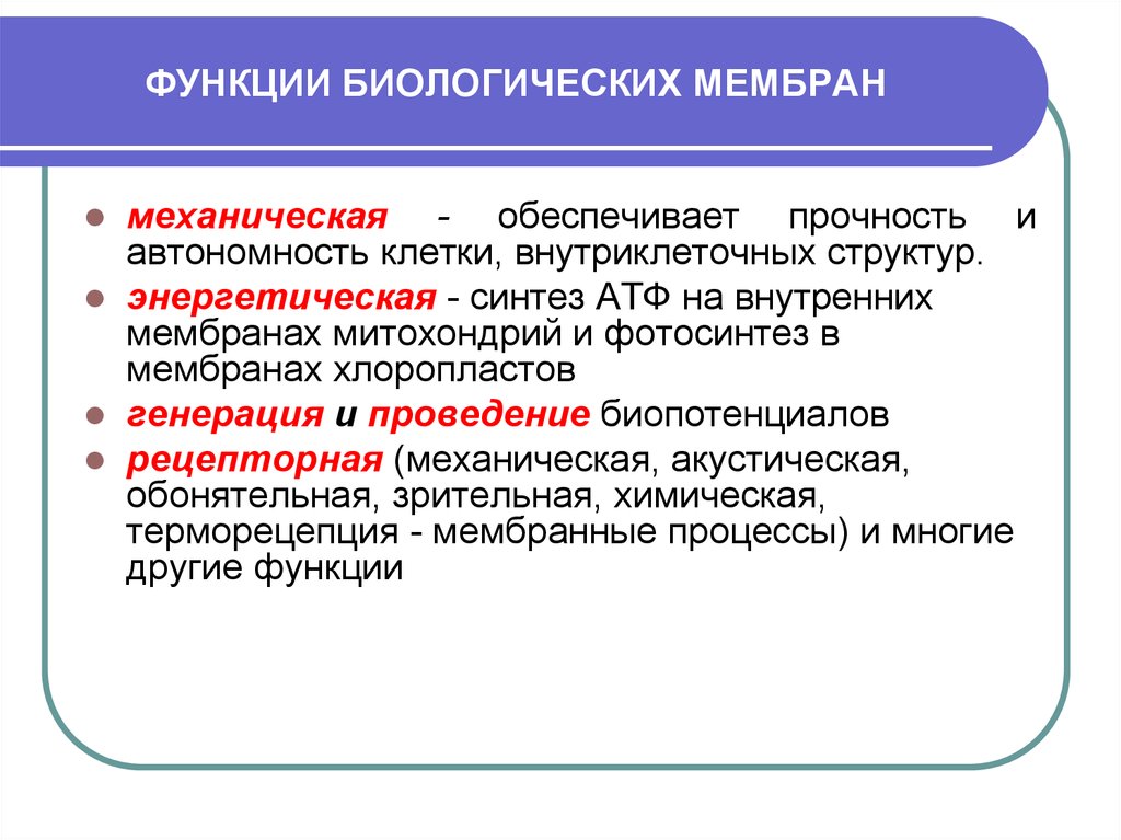 Физические свойства мембран