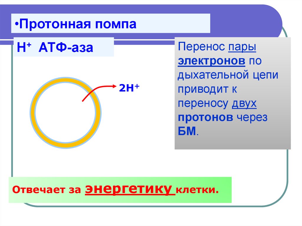 Перенос пара