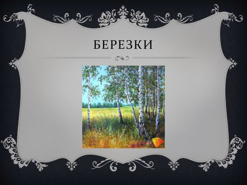 березки