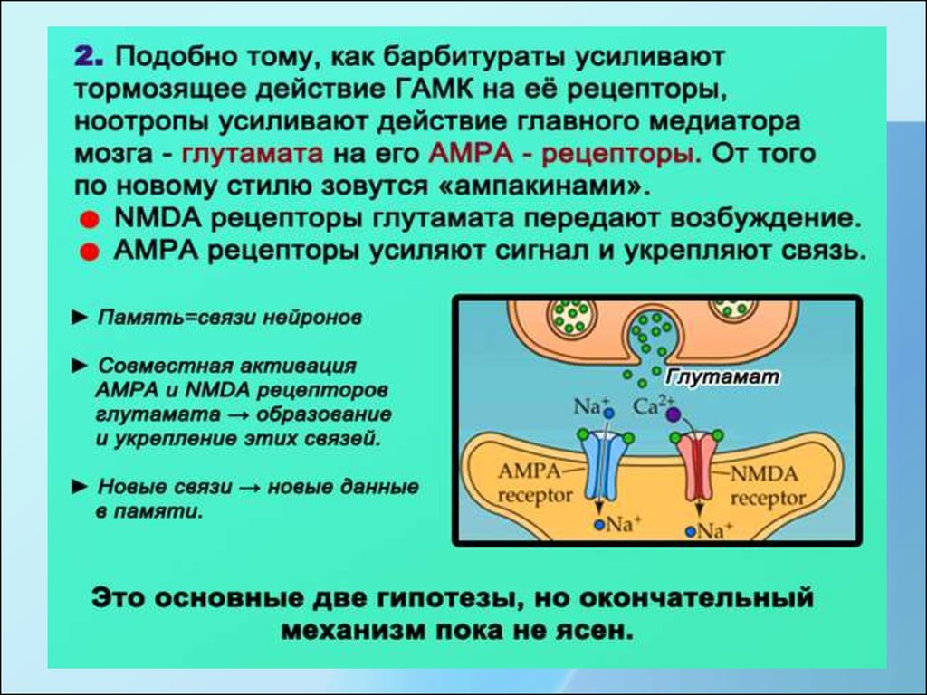 Фенибут механизм действия. Механизм действия ноотропных препаратов схема. Механизм действия ноотропов фармакология. Механизм действия ноотропных препаратов фармакология. Механизм действия ноотропов ГАМК.