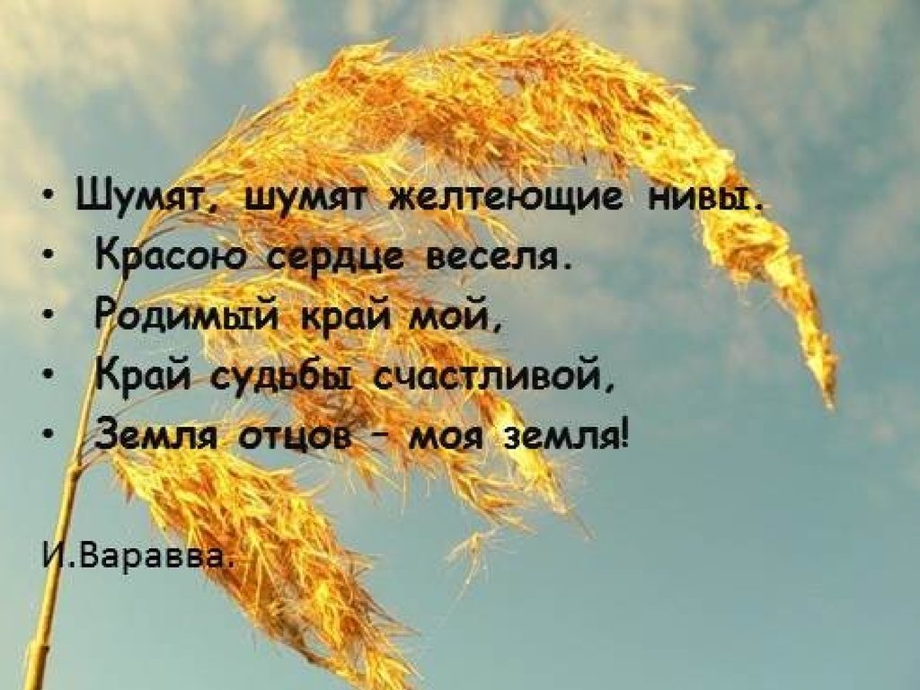 Стих шуми шуми. Стихи на тему земля отцов моя земля. Кубань земля отцов моя земля. Стих про Краснодарский край. Стихи про Краснодарский край для детей.