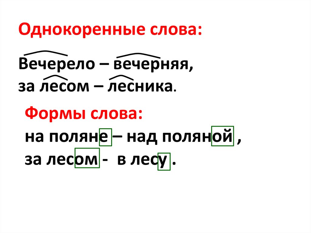 Подбери однокоренные слова машина