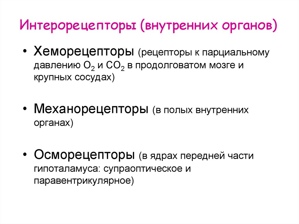 Рецептор информации. Структурно-функциональная характеристика интерорецепторов. Интерорецепторы внутренних органов. Рецепторы экстерорецепторы интерорецепторы. Виды рецепторов интерорецепторы.