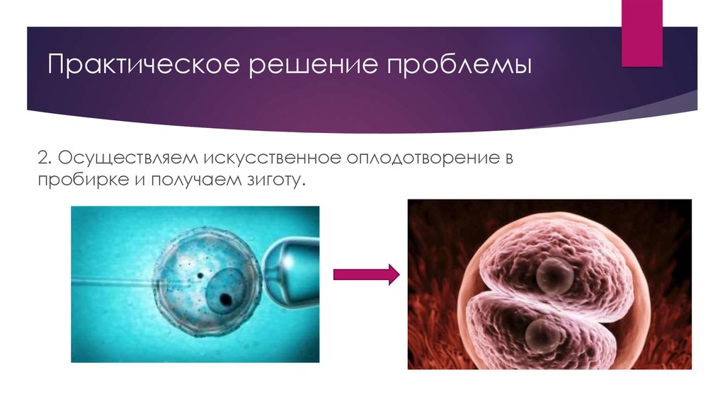 Как происходит суррогатное оплодотворение. Искусственное оплодотворение. Искусственная инсеминация проблемы. Плюсы искусственного оплодотворения. Минусы искусственного оплодотворения.