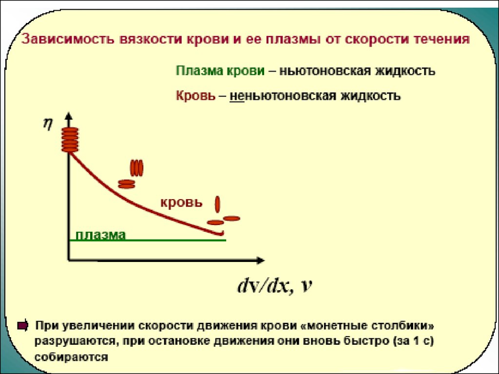 Зависимость течения. Зависимость вязкости крови от температуры. Вязкость крови и вязкость плазмы. Вязкость крови зависит от. От чего зависит вязкость крови.