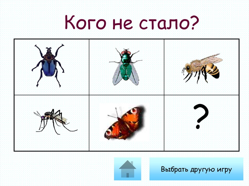 Выберите трех насекомых. Игра кого не стало насекомые. Насекомые кто ползает кто летает. Игра презентация насекомые. Насекомые летающие и ползающие.