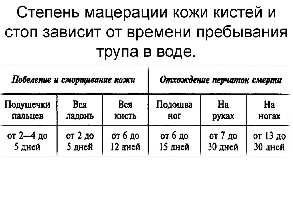 Время пребывания человека