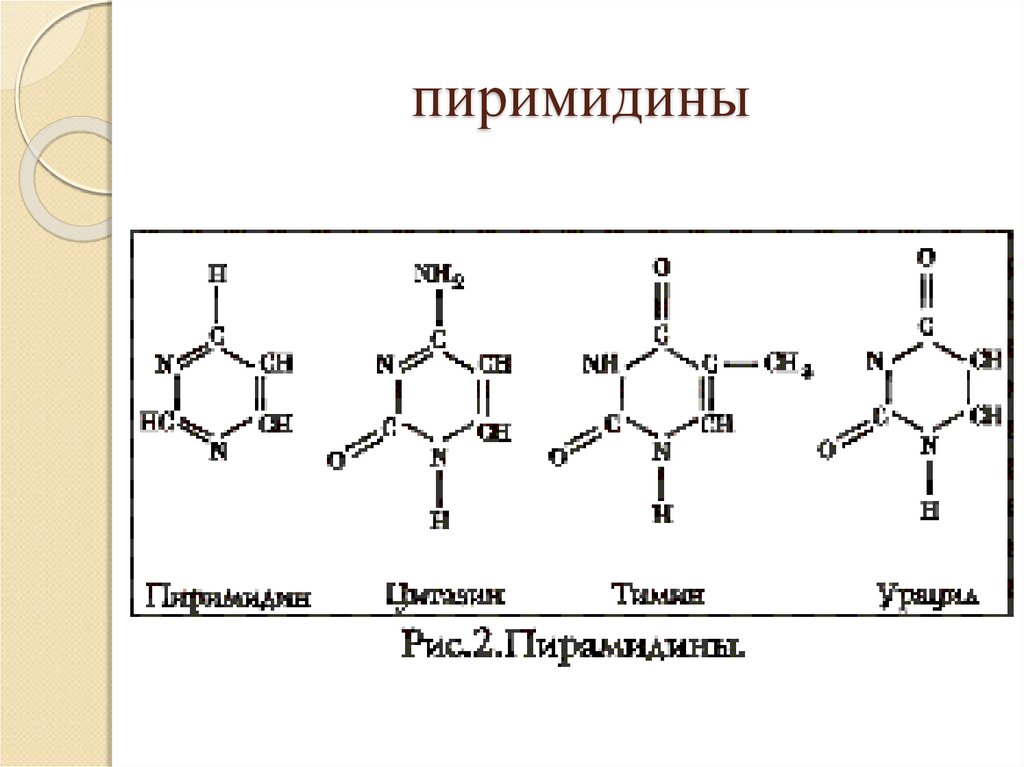Химический состав простейших. Бензоаннелированный пиримидин. Пиримидин структурная формула. Структура пиримидина. Строение пиримидина.