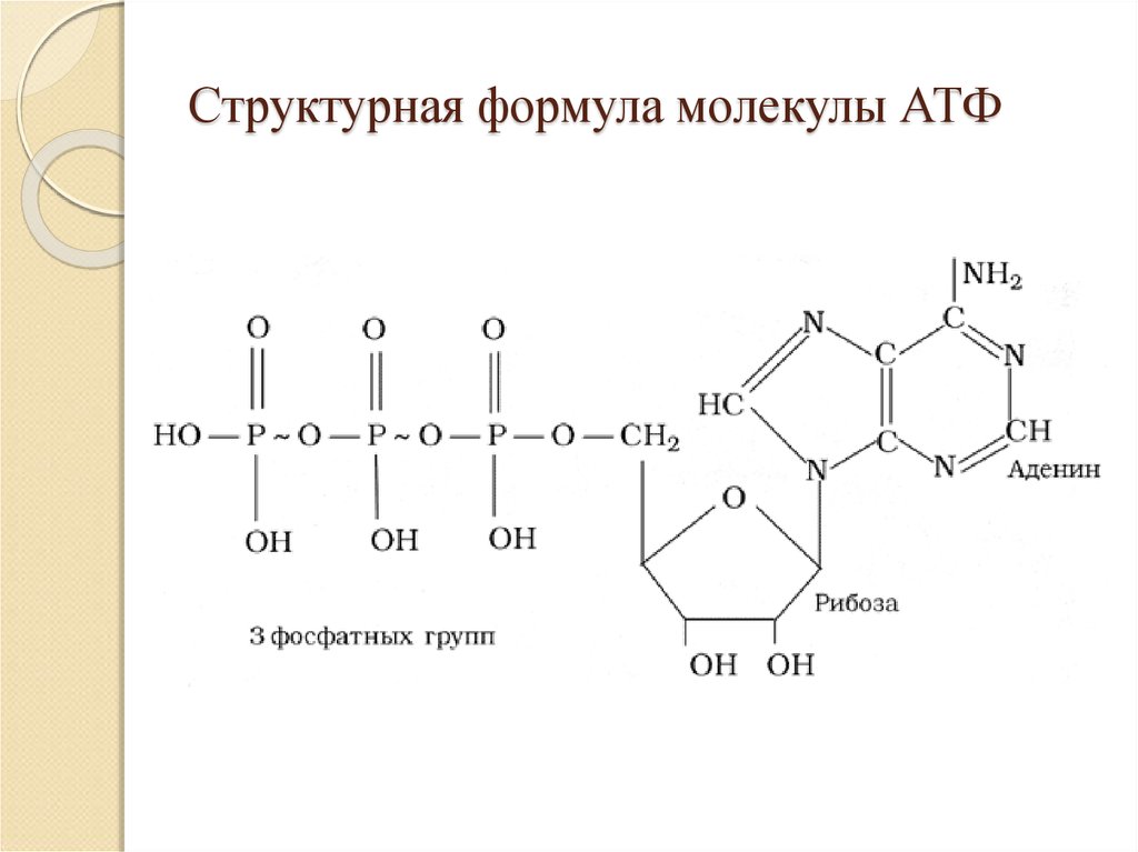 Формула какого вещества изображена на рисунке